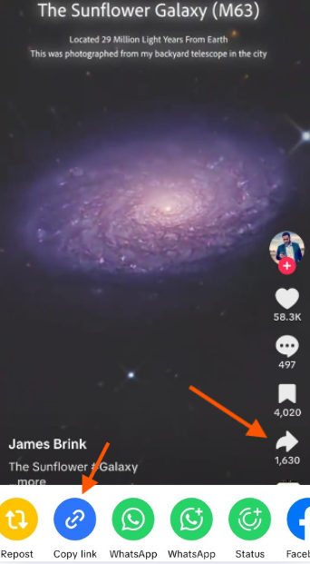 Copiar enlace de video de TikTok